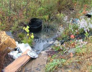 Thumbnail image for oil dumping.jpg